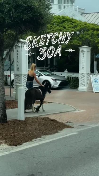 Seaside drop